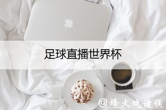 新浪世界杯直播平台：全方位赛事体验